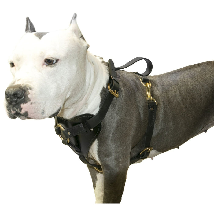 Viper Surge Biothane Working Dog Harness - Brass Hardware — Dogline  Wholesale