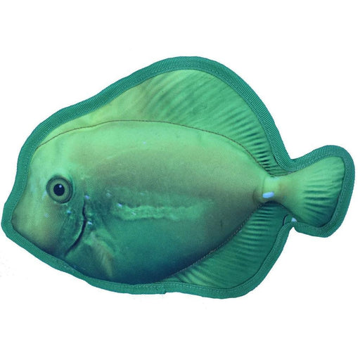 Floating in water dog toy with a squeaker, surgeonfish